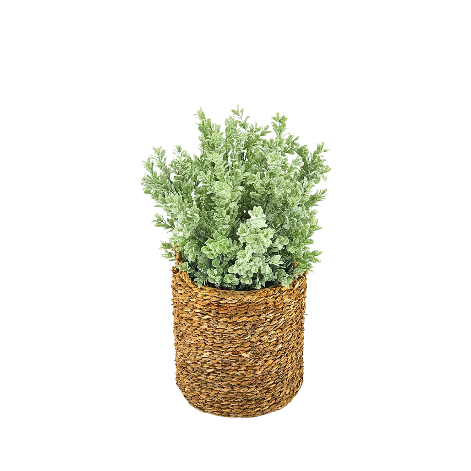 Artificial 20" Eucalyptus in Small Woven Basket