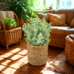 Artificial 20" Eucalyptus in Small Woven Basket In Home Environment