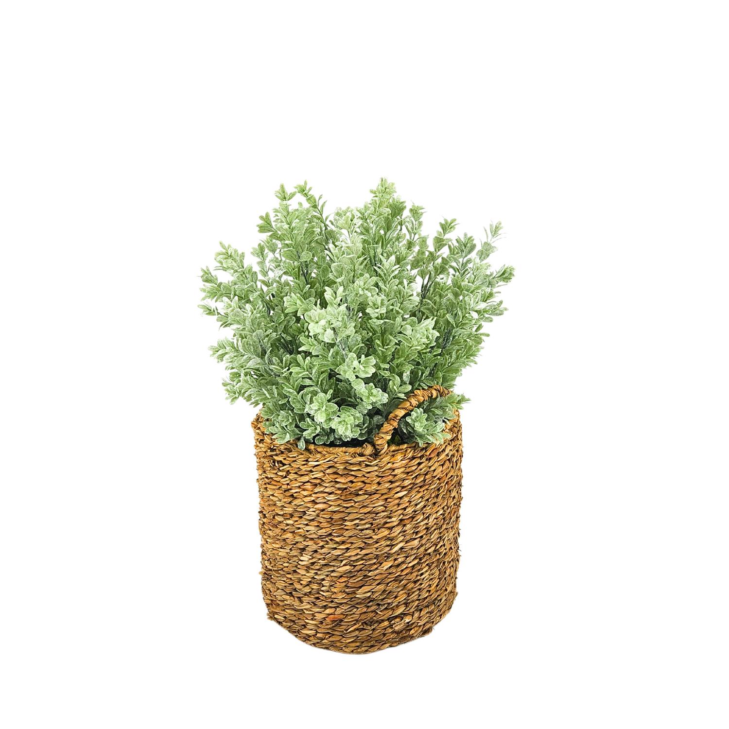 Artificial 20" Eucalyptus in Small Woven Basket 