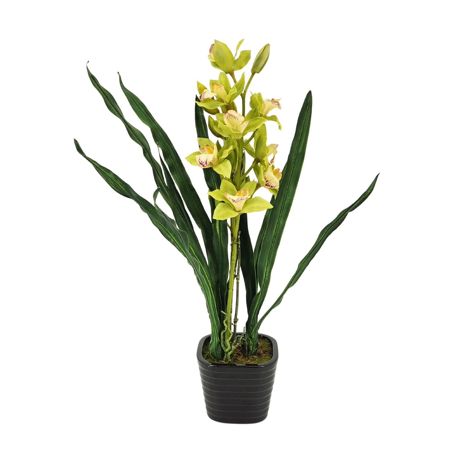 Artificial 30" Double Cymbidium Orchid, Green