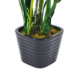 Artificial 30" Double Cymbidium Orchid, Green in Black Ceramic