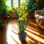 Artificial 30" Double Cymbidium Orchid, Green in Black Ceramic Measurements in Home Environment
