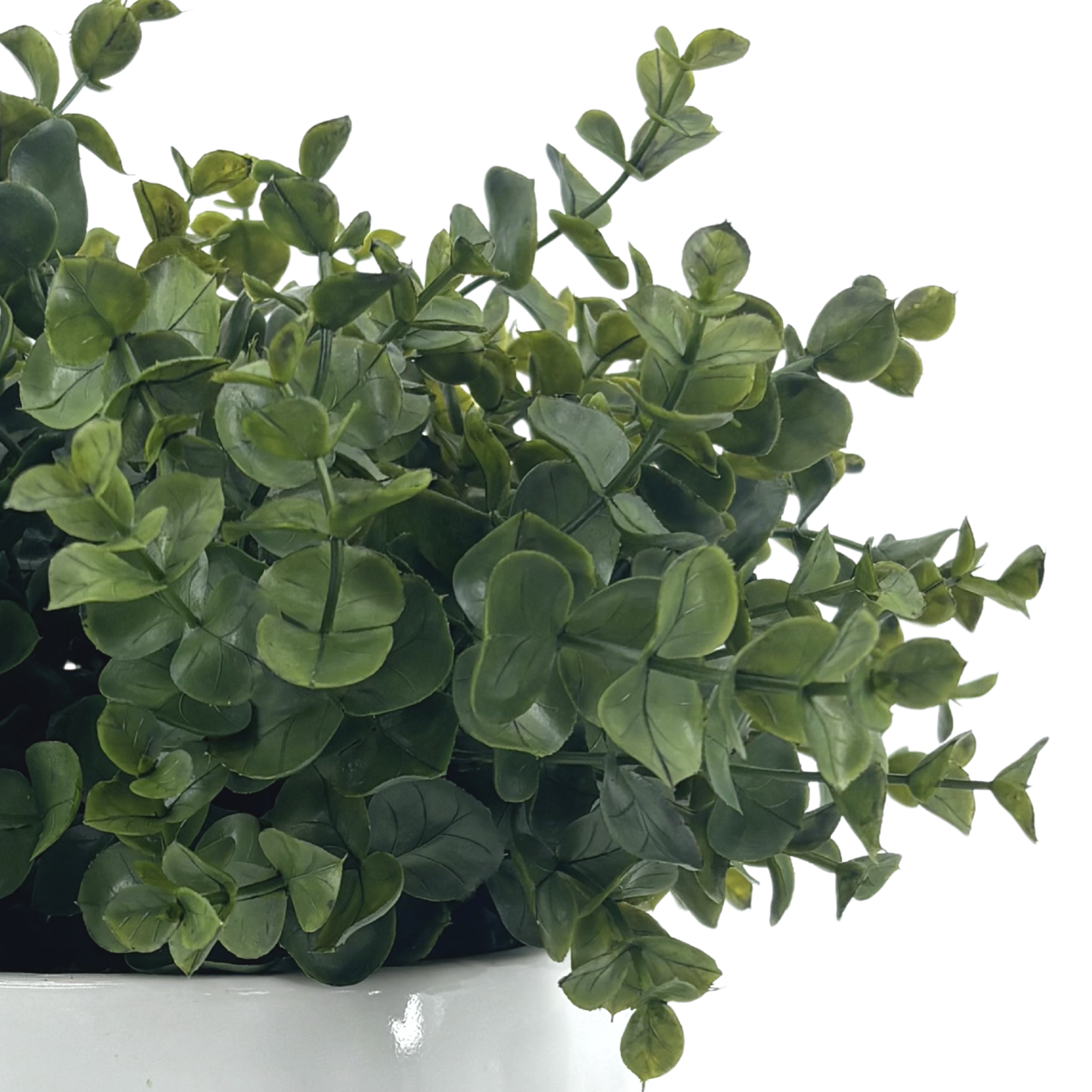 Close-up image of Faux Eucalyptus to show plant details, by House of Silk Flowers