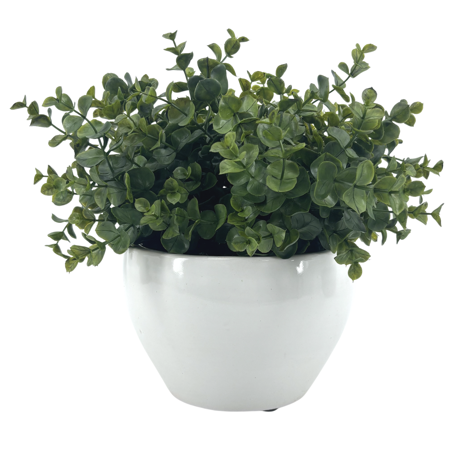 Silo image of Faux Eucalyptus in Glossy White Ceramic Cache Pot, by House of Silk Flowers