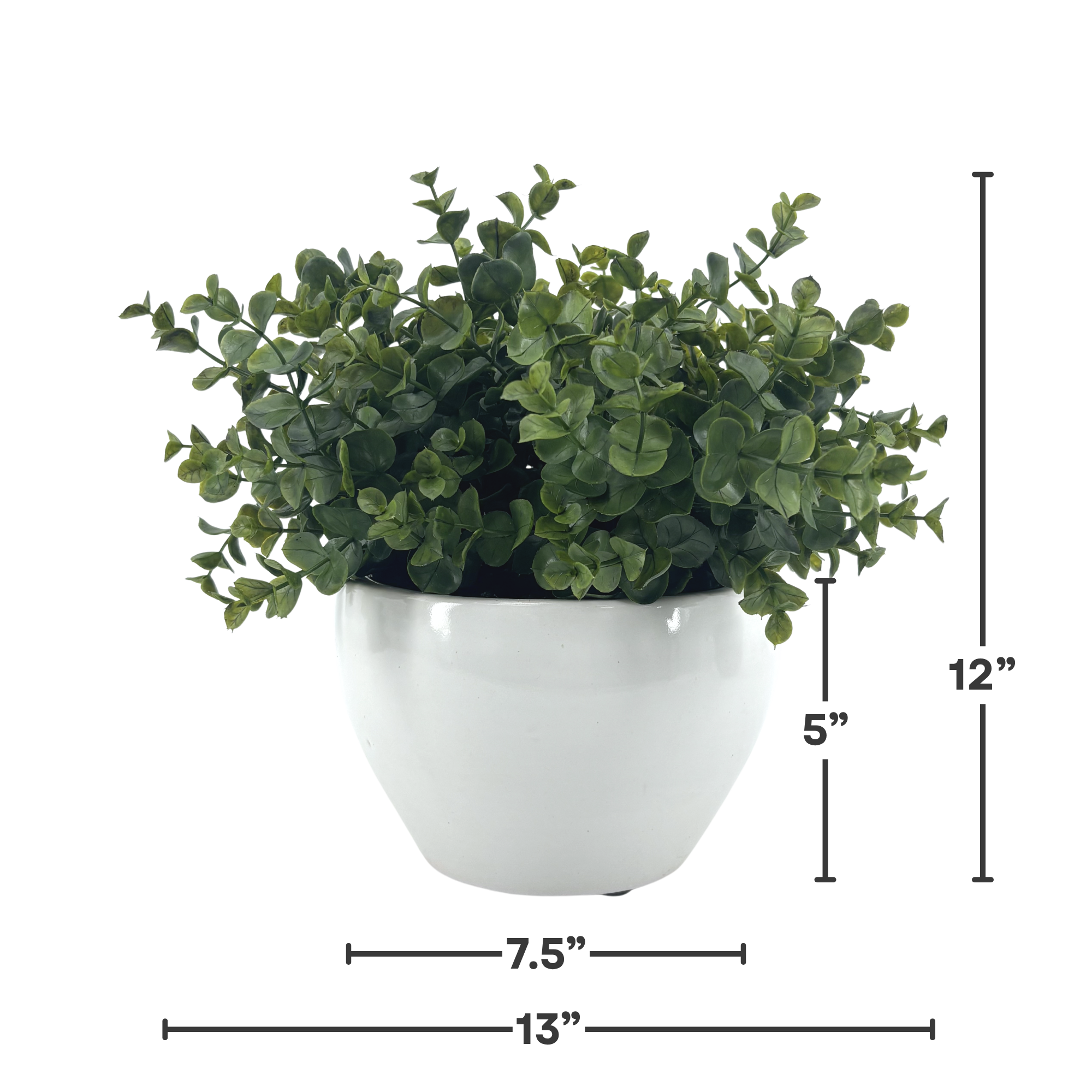 Silo image of Faux Eucalyptus in Glossy White Ceramic Cache Pot, featuring product dimensions, by House of Silk Flowers