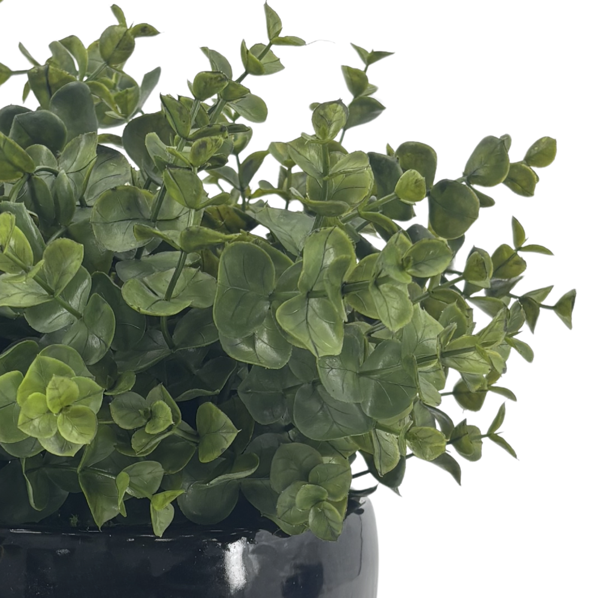 Close-up image of Faux Eucalyptus to show plant details, by House of Silk Flowers