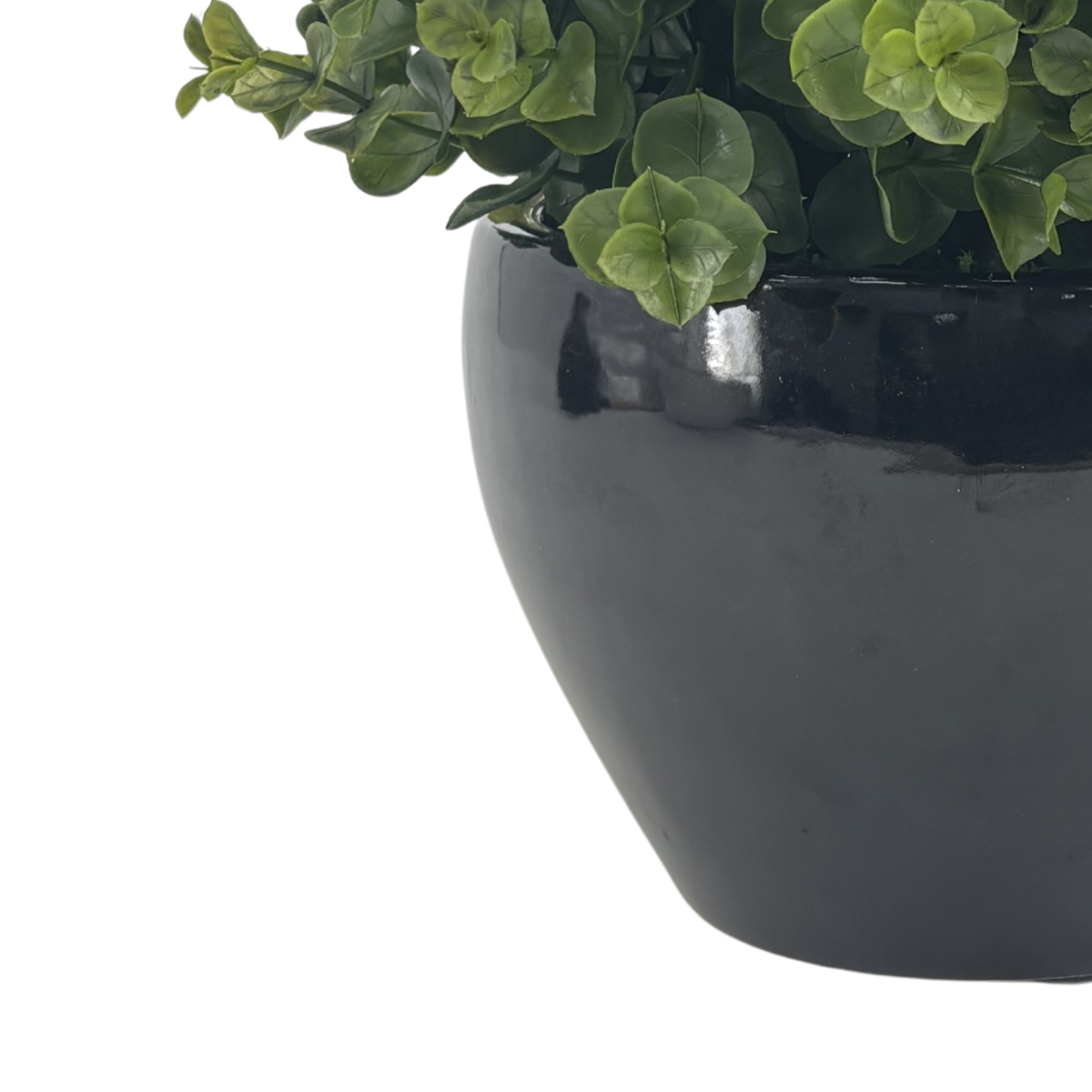 Close-up image of Glossy Black Ceramic Cache Pot to show vessel color and texture, by House of Silk Flowers