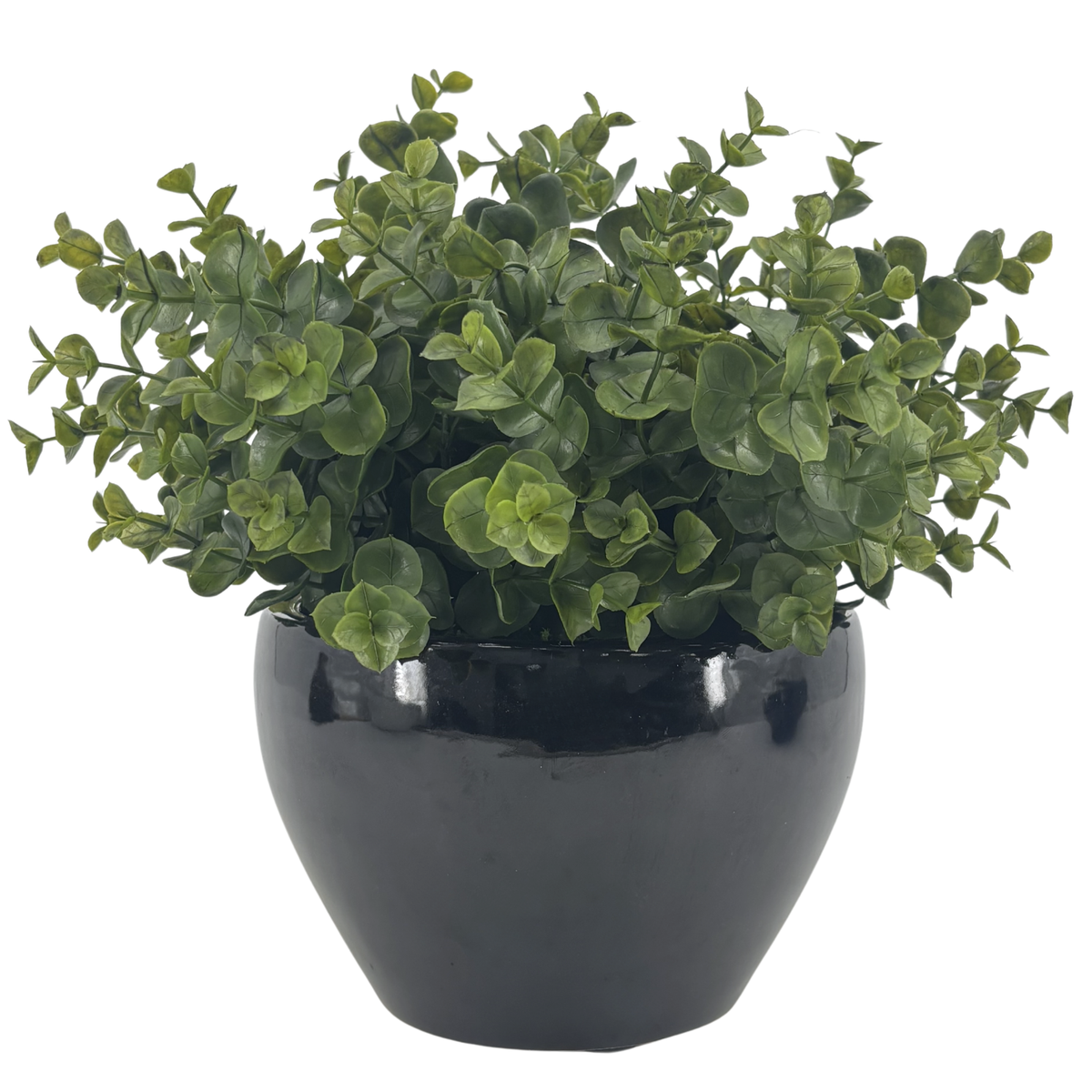 Silo image of Faux Eucalyptus in Glossy Black Ceramic Cache Pot, by House of Silk Flowers