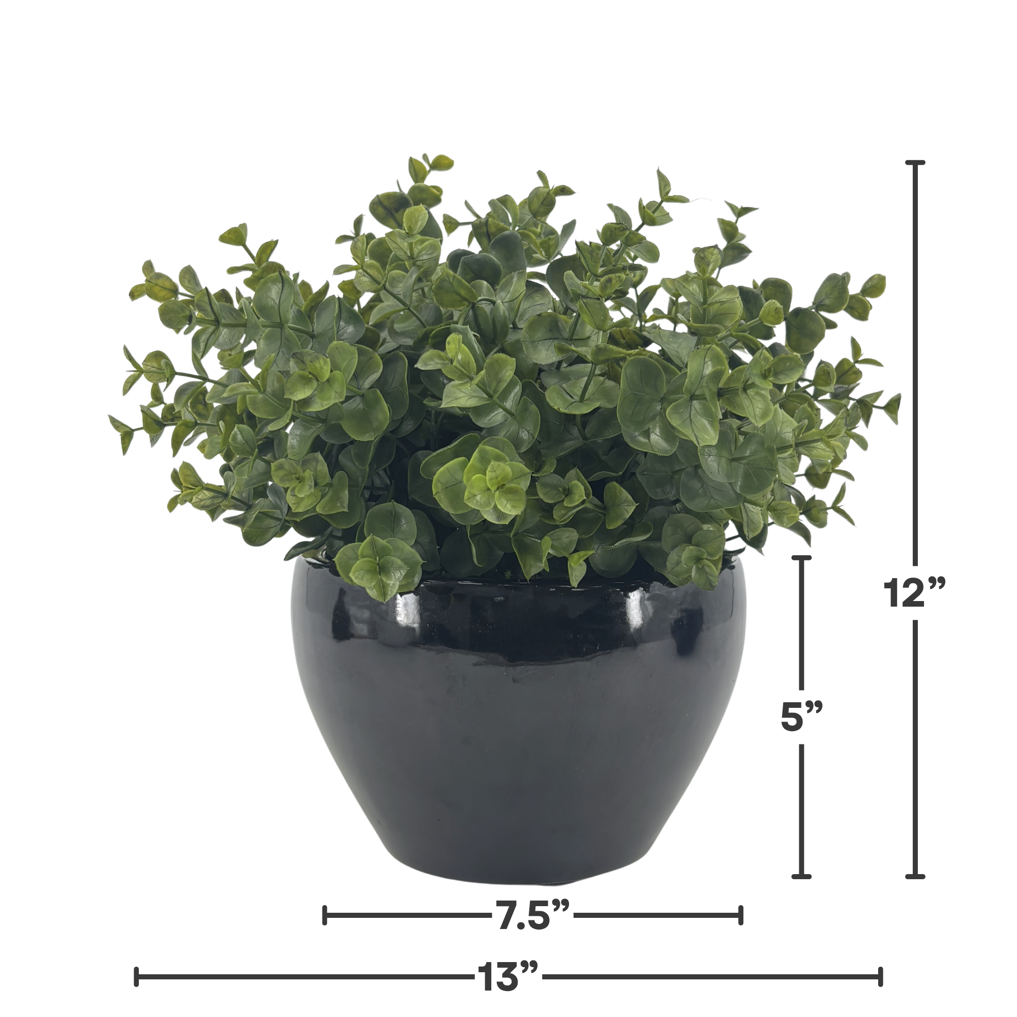 Silo image of Faux Eucalyptus in Glossy Black Ceramic Cache Pot, featuring product dimensions, by House of Silk Flowers
