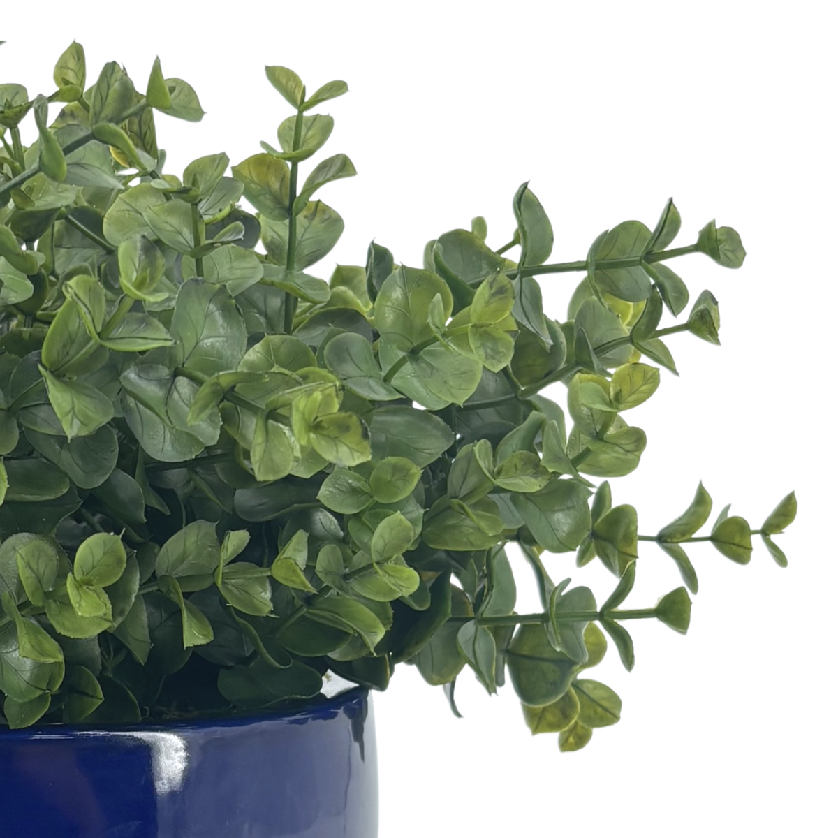 Close-up image of Faux Eucalyptus to show plant details, by House of Silk Flowers
