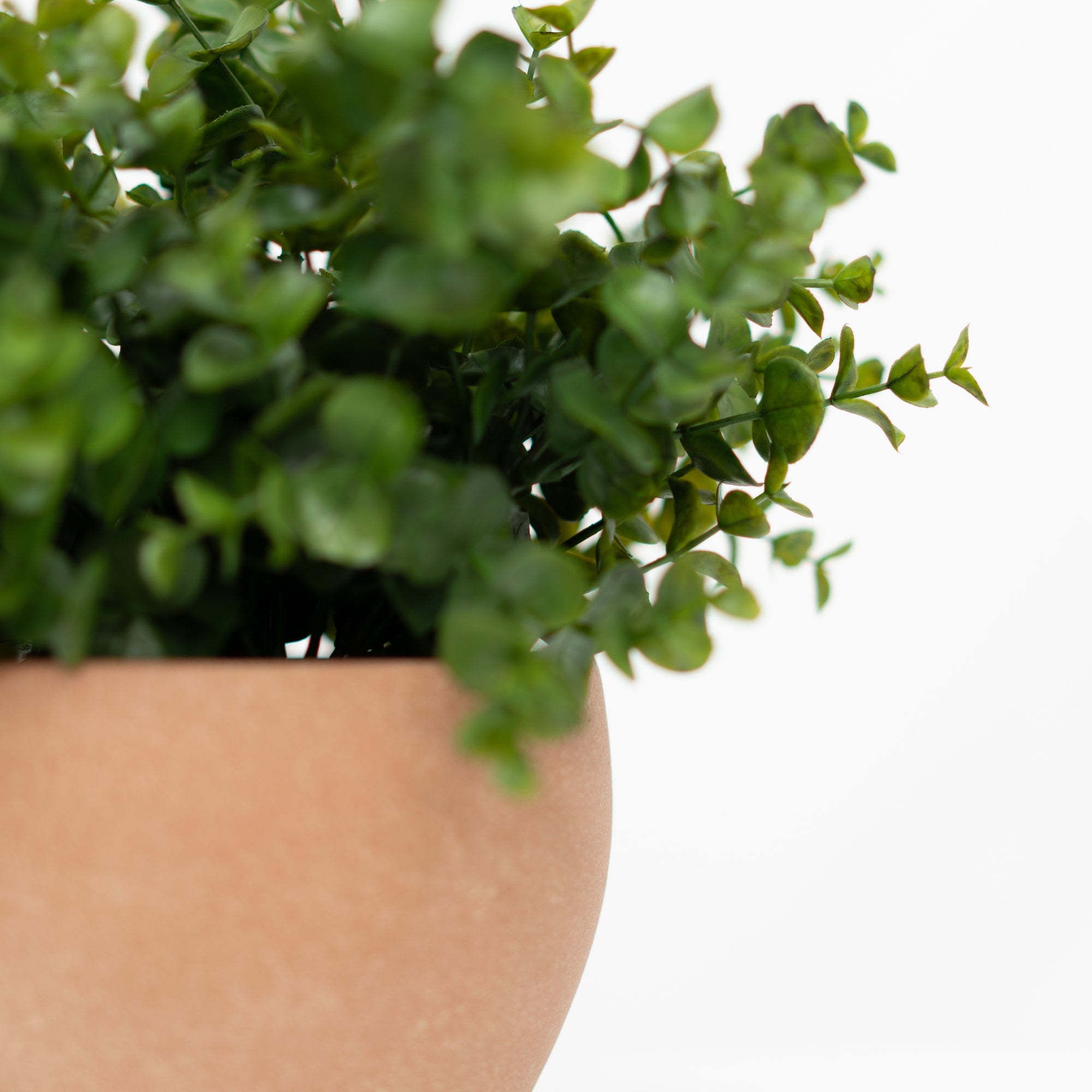 12" Eucalyptus in Matte Medium Terracotta Ceramic