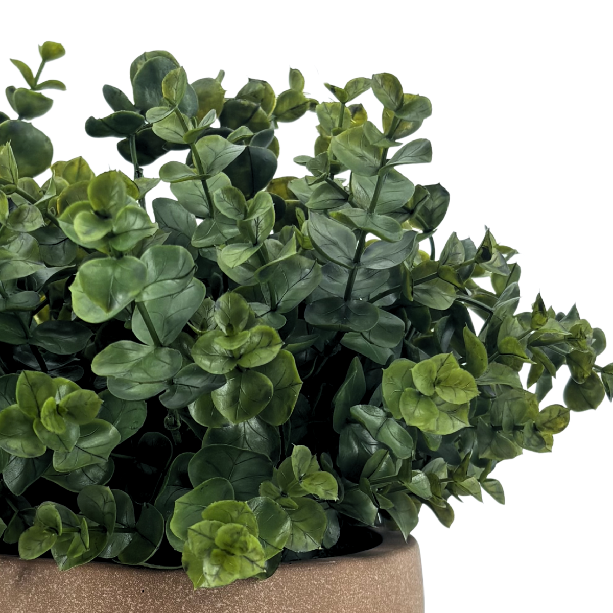 Close-up image of Faux Eucalyptus to show plant details, by House of Silk Flowers