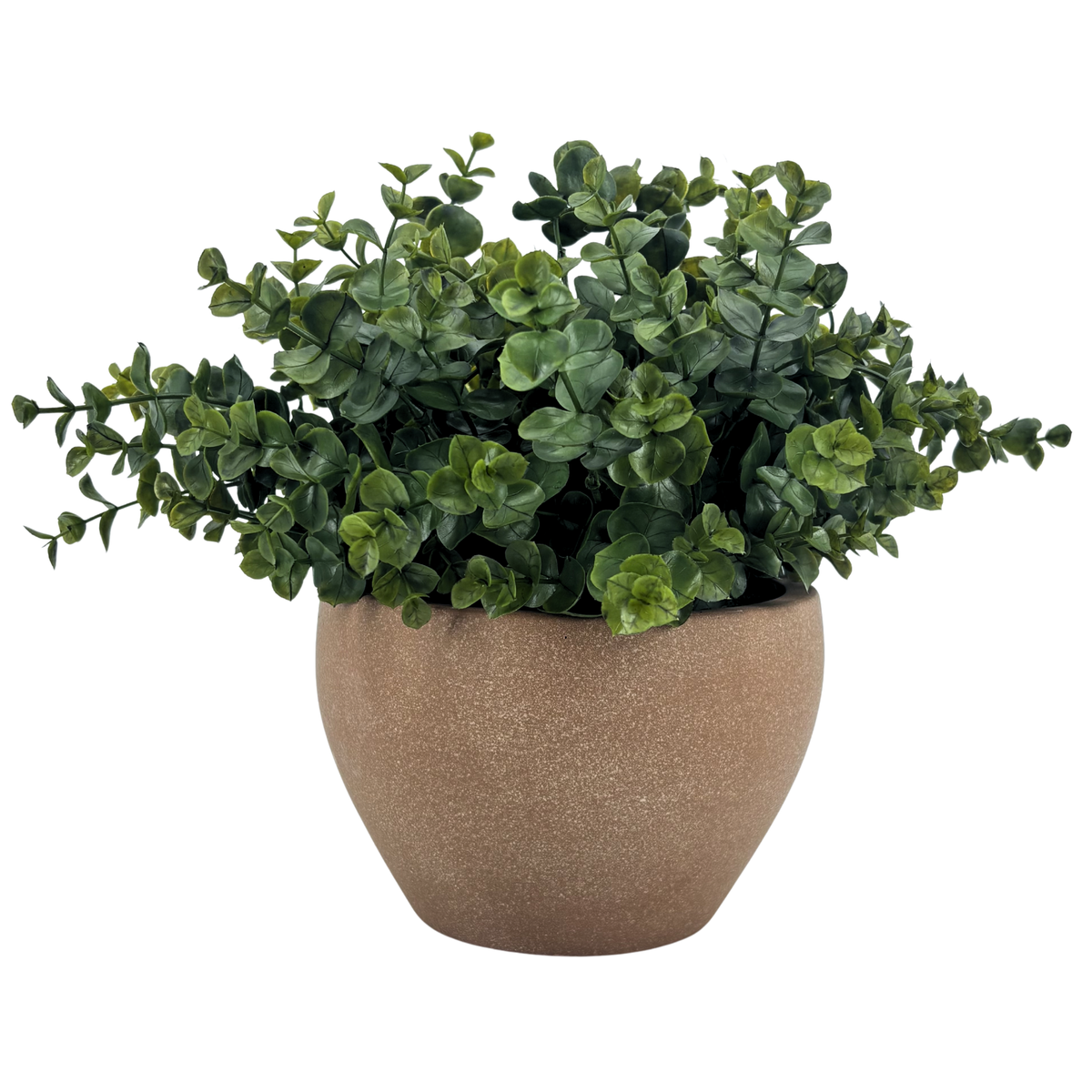 Silo image of Faux Eucalyptus in Terracotta Wash Ceramic Pot, by House of Silk Flowers