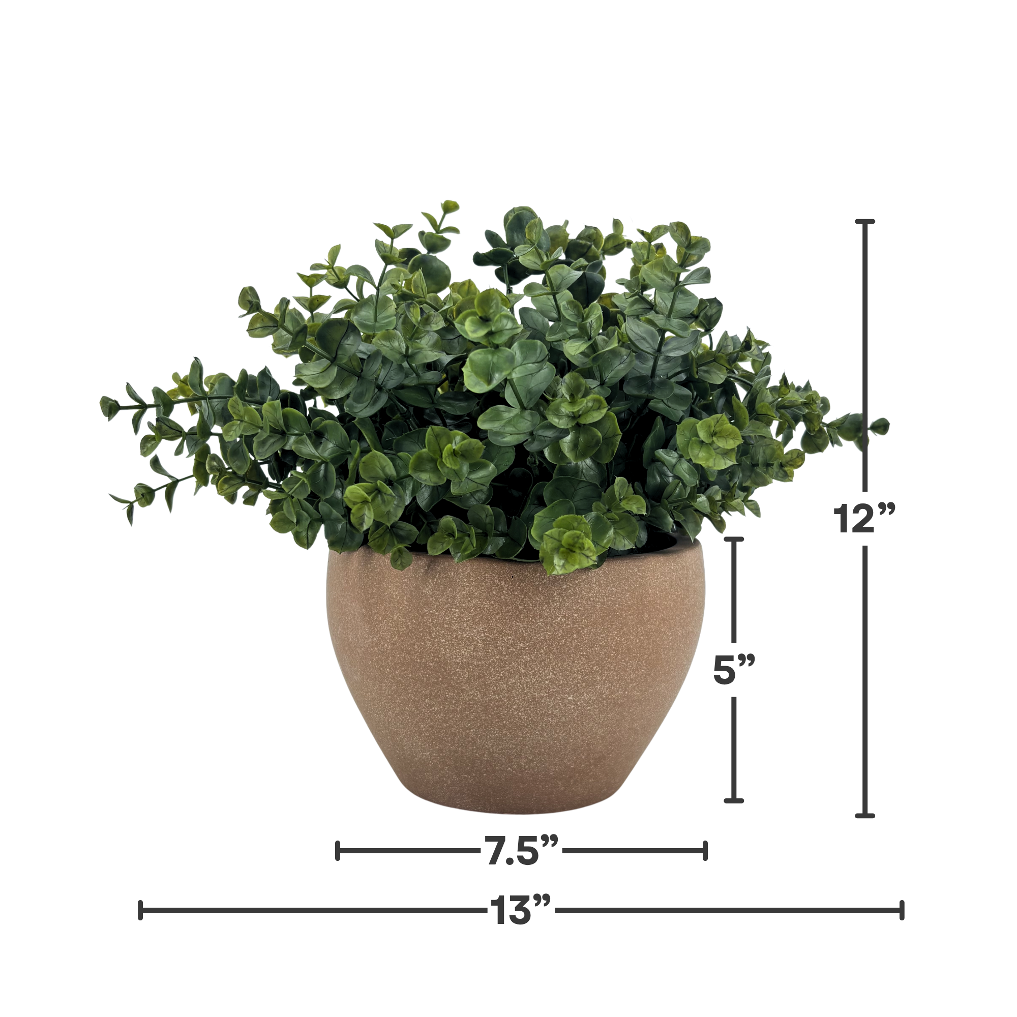 Silo image of Faux Eucalyptus in Terracotta Wash Ceramic Pot, featuring product dimensions, by House of Silk Flowers