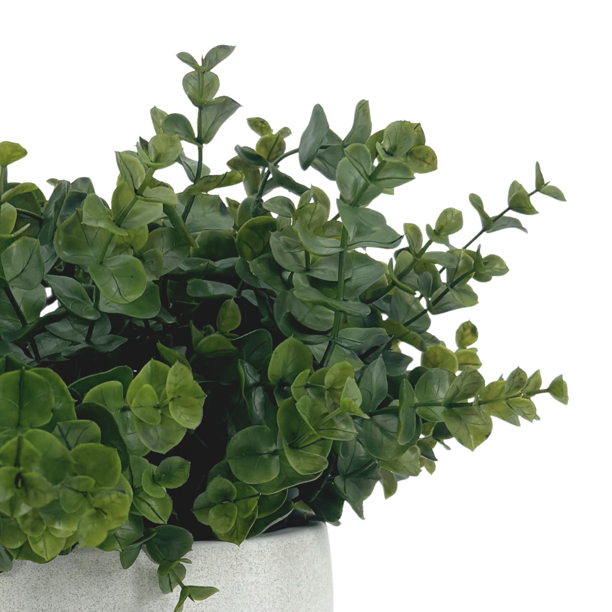 Close-up image of Faux Eucalyptus to show plant details, by House of Silk Flowers