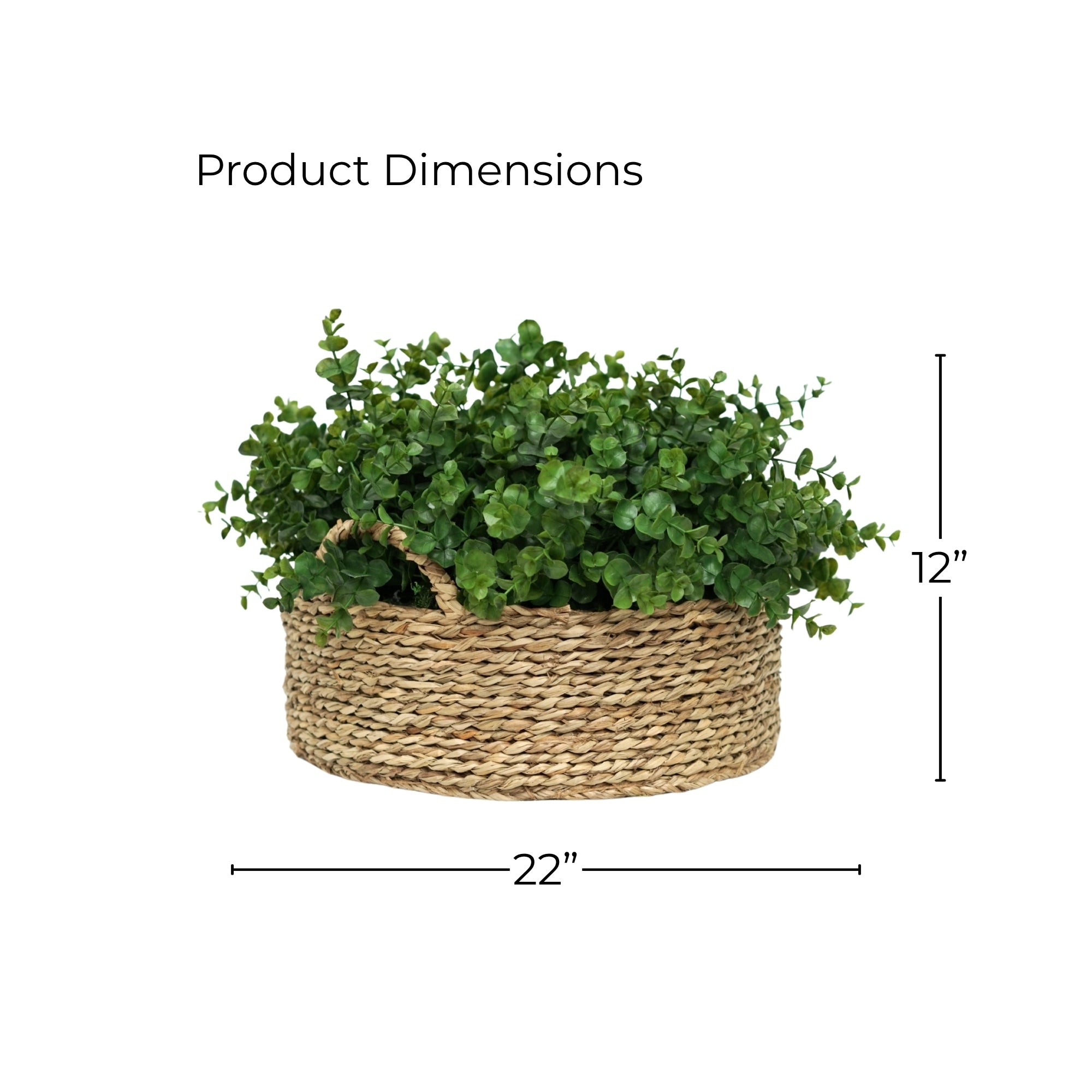 12" Eucalyptus in Natural Seagrass Basket