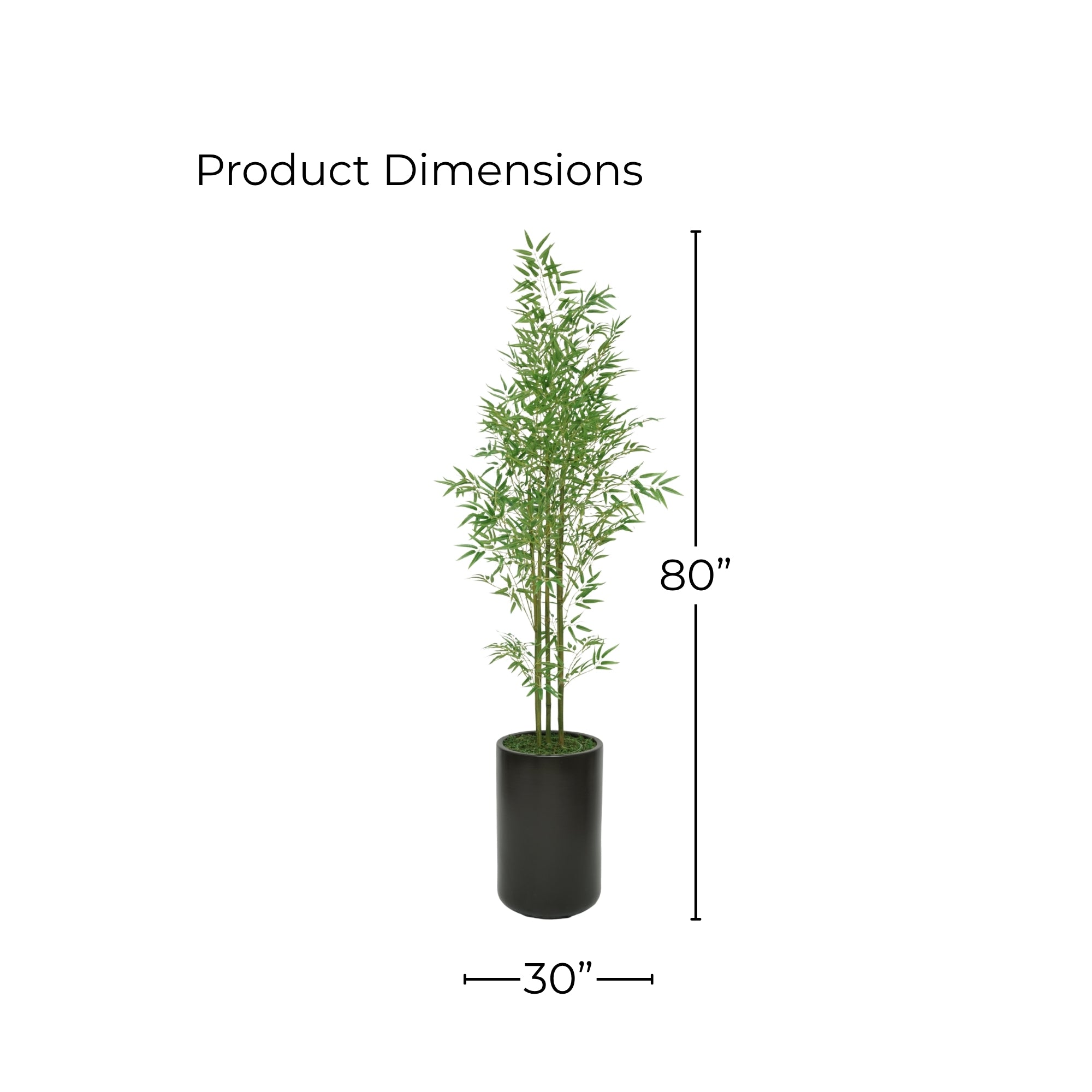 80" Bamboo Tree in Matte Black Ceramic Cylinder