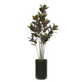 79" Rubber Tree in Matte Black Ceramic
