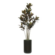 79" Rubber Tree in Matte Black Ceramic