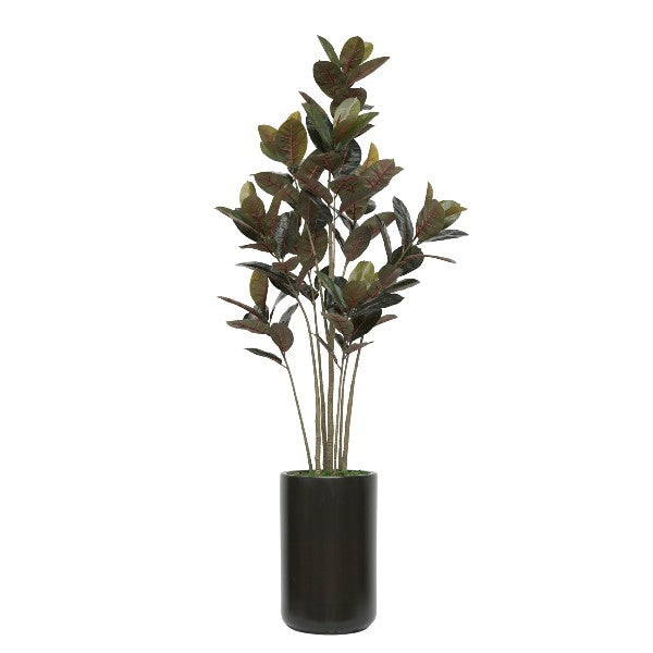 79" Rubber Tree in Matte Black Ceramic