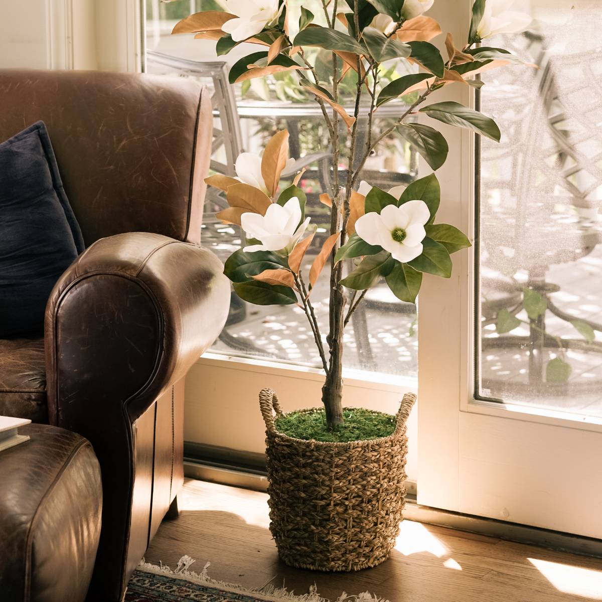 75" Magnolia Tree in Natural Seagrass Basket