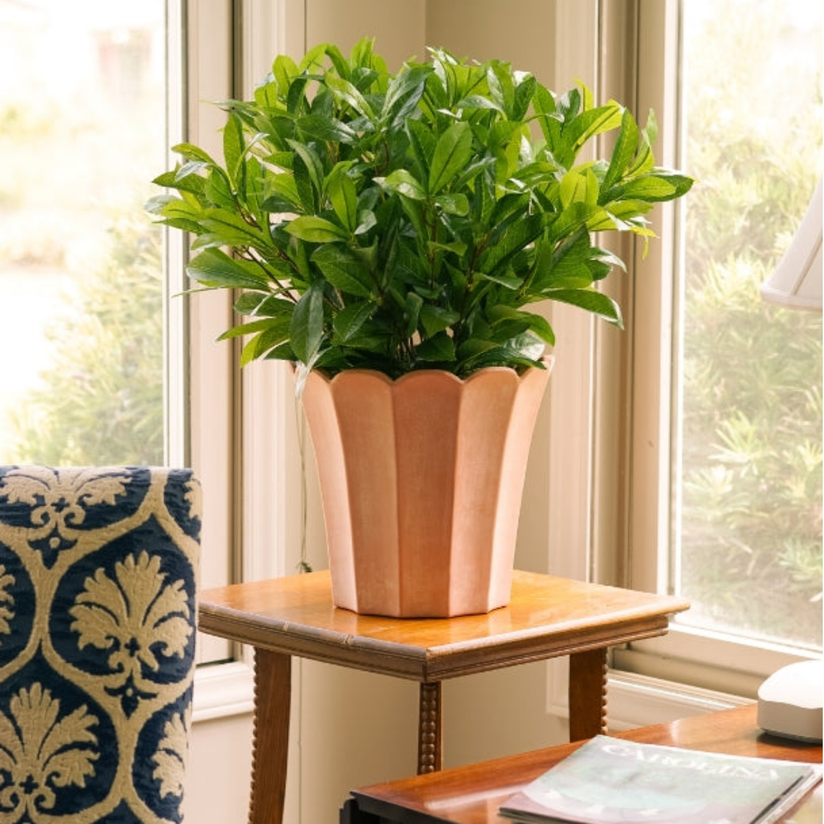 24" Laurel Bush in Matte Light Terracotta Ceramic