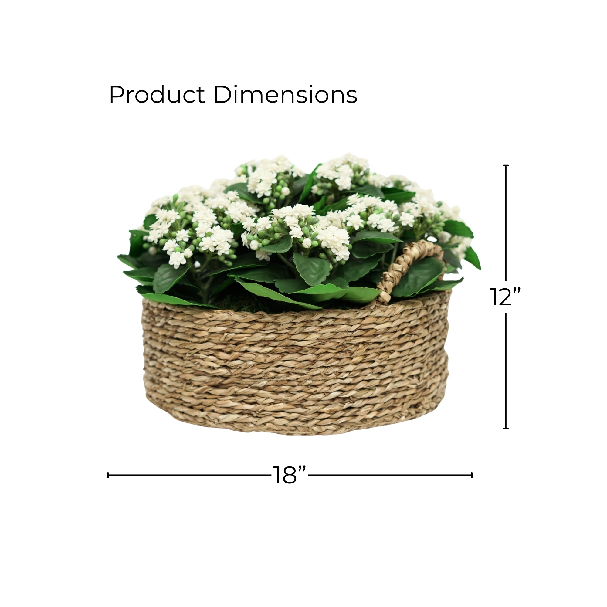 12" Faux White Kalanchoe In a Seagrass Basket