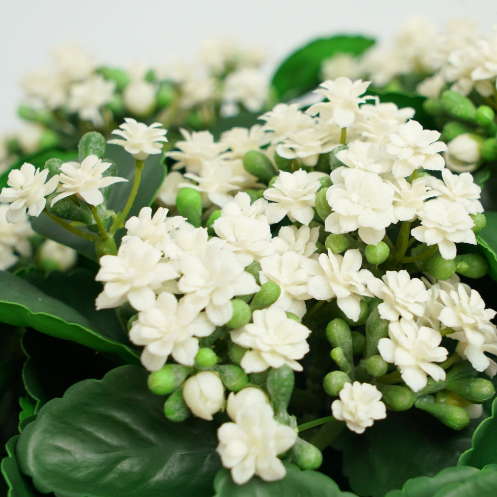 Faux White Kalanchoe In a Seagrass Basket