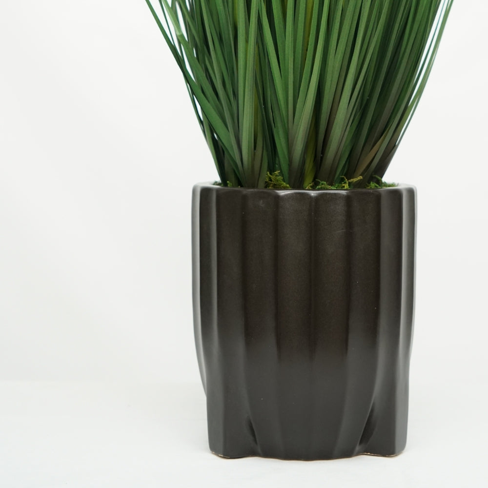 30" Grass in Matte Black Ribbed Tripod Ceramic