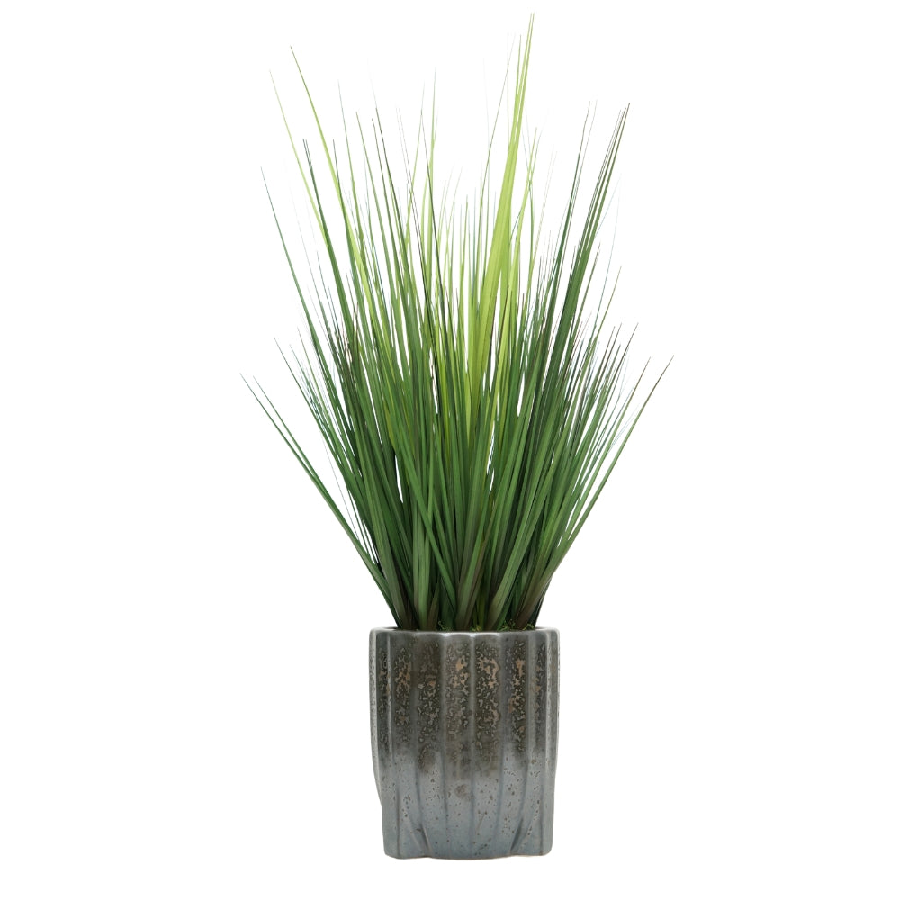30" Onion Grass in Glazed Black Ribbed Tripod Ceramic