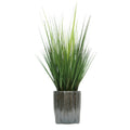 30" Onion Grass in Glazed Black Ribbed Tripod Ceramic