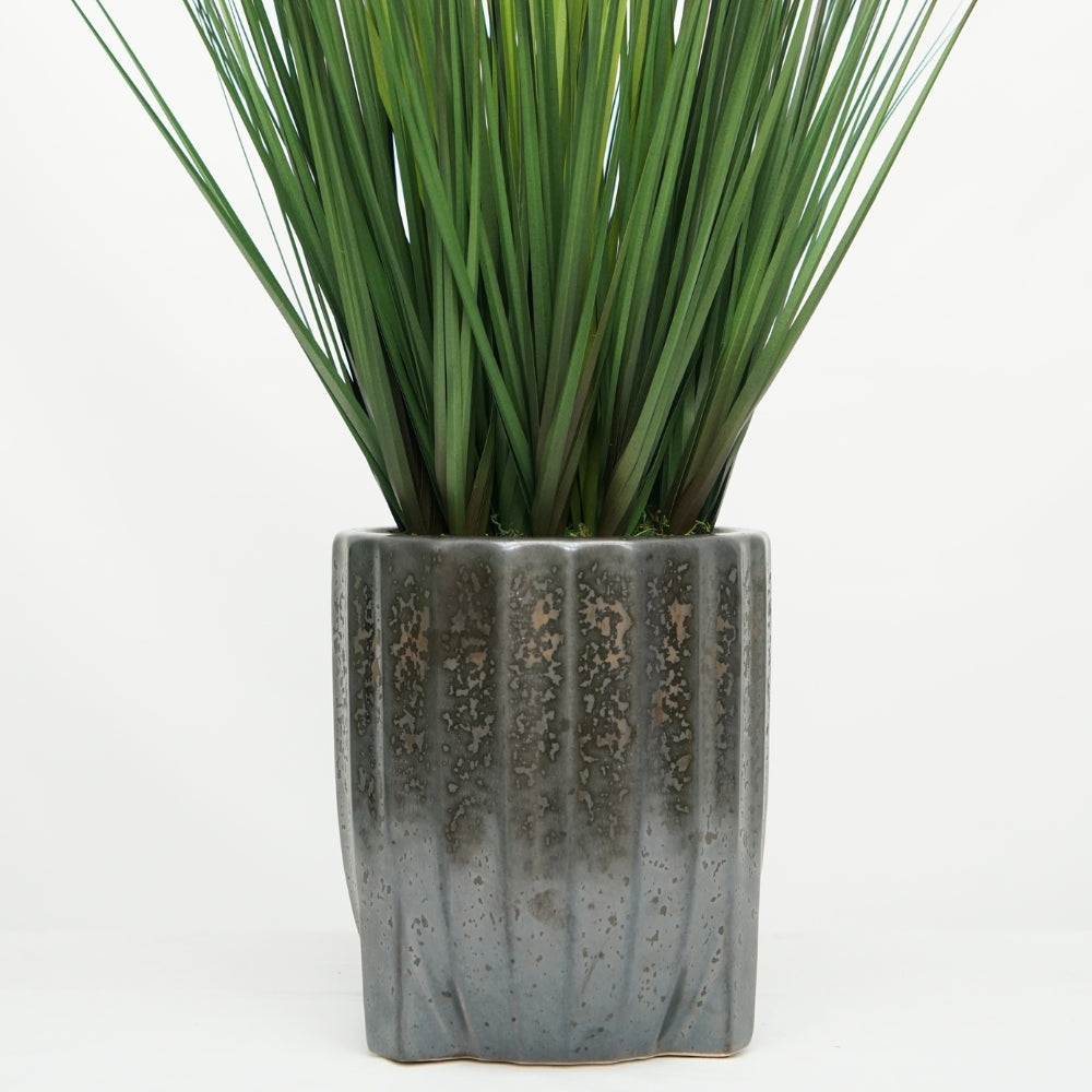 30" Onion Grass in Glazed Black Ribbed Tripod Ceramic