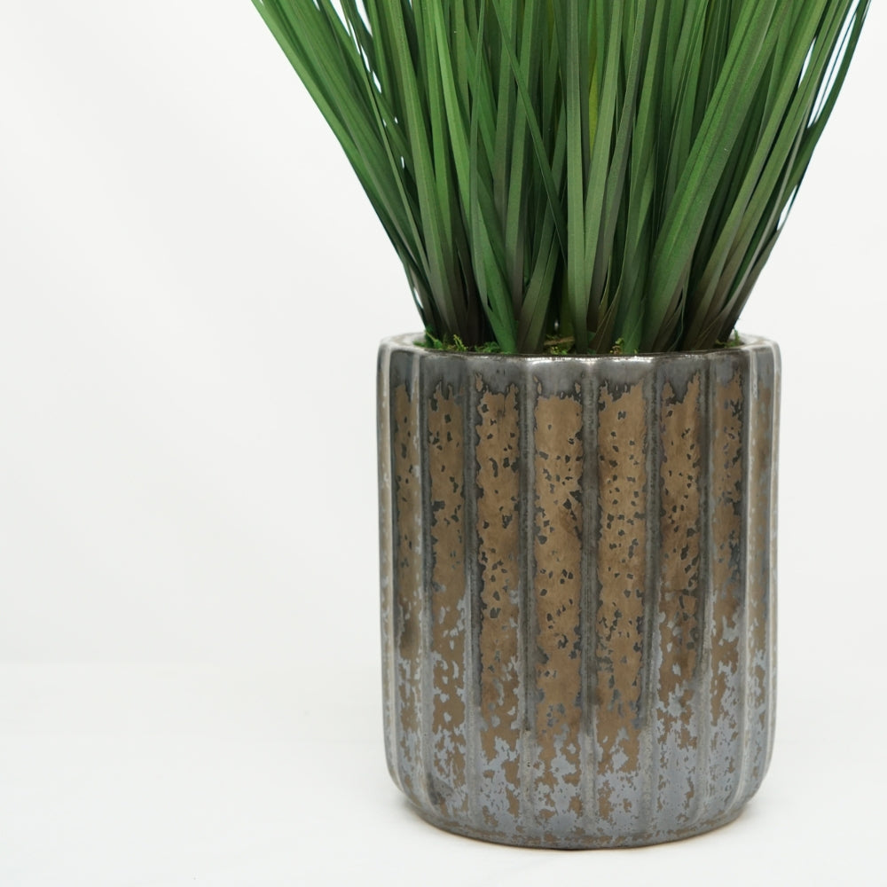 30" Grass in Glazed Black Ribbed Ceramic
