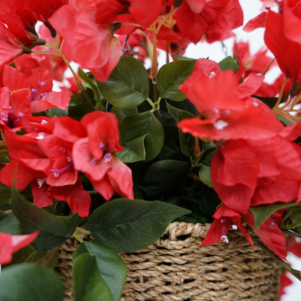 Watermelon Red Faux Bougainvillea in Seagrass Hanging Basket