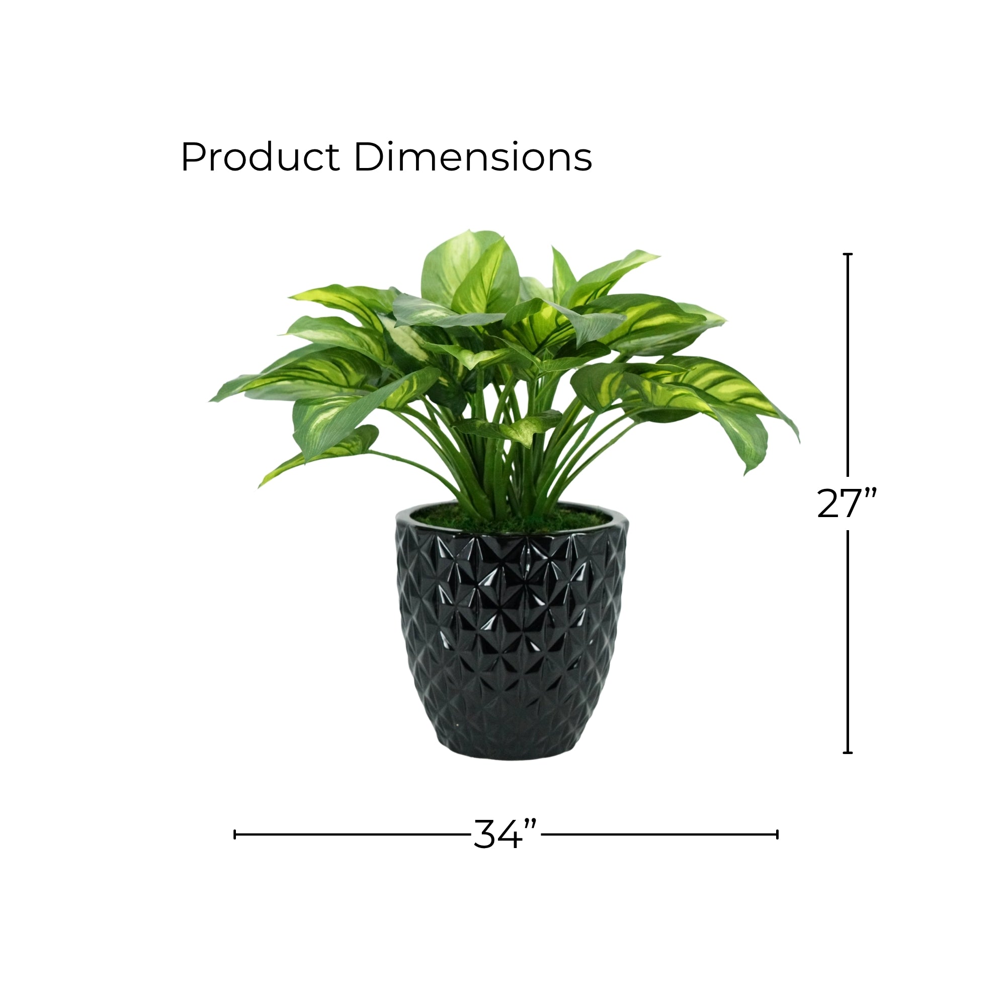 27" Faux Hosta In Glossy Black Tapered Ceramic