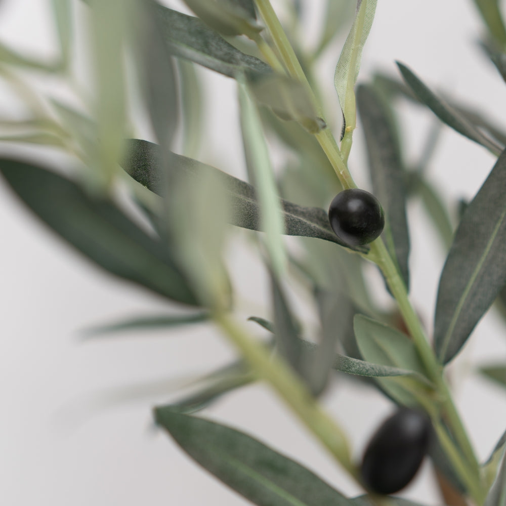 76" Olive Tree in Cement Gray Ceramic