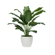 32" Dieffenbachia in Stone Wash White Ceramic