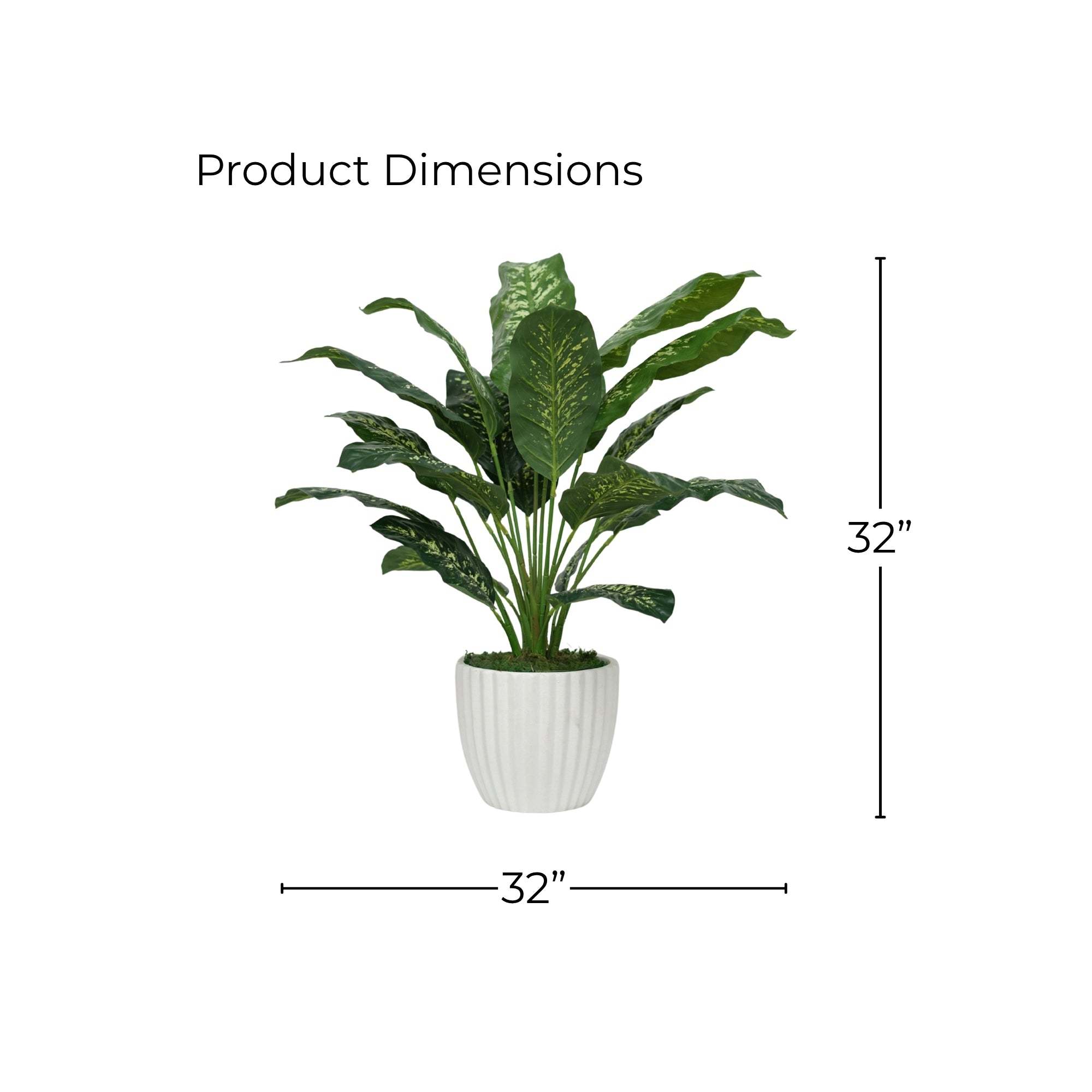 32" Dieffenbachia in Stone Wash White Ceramic