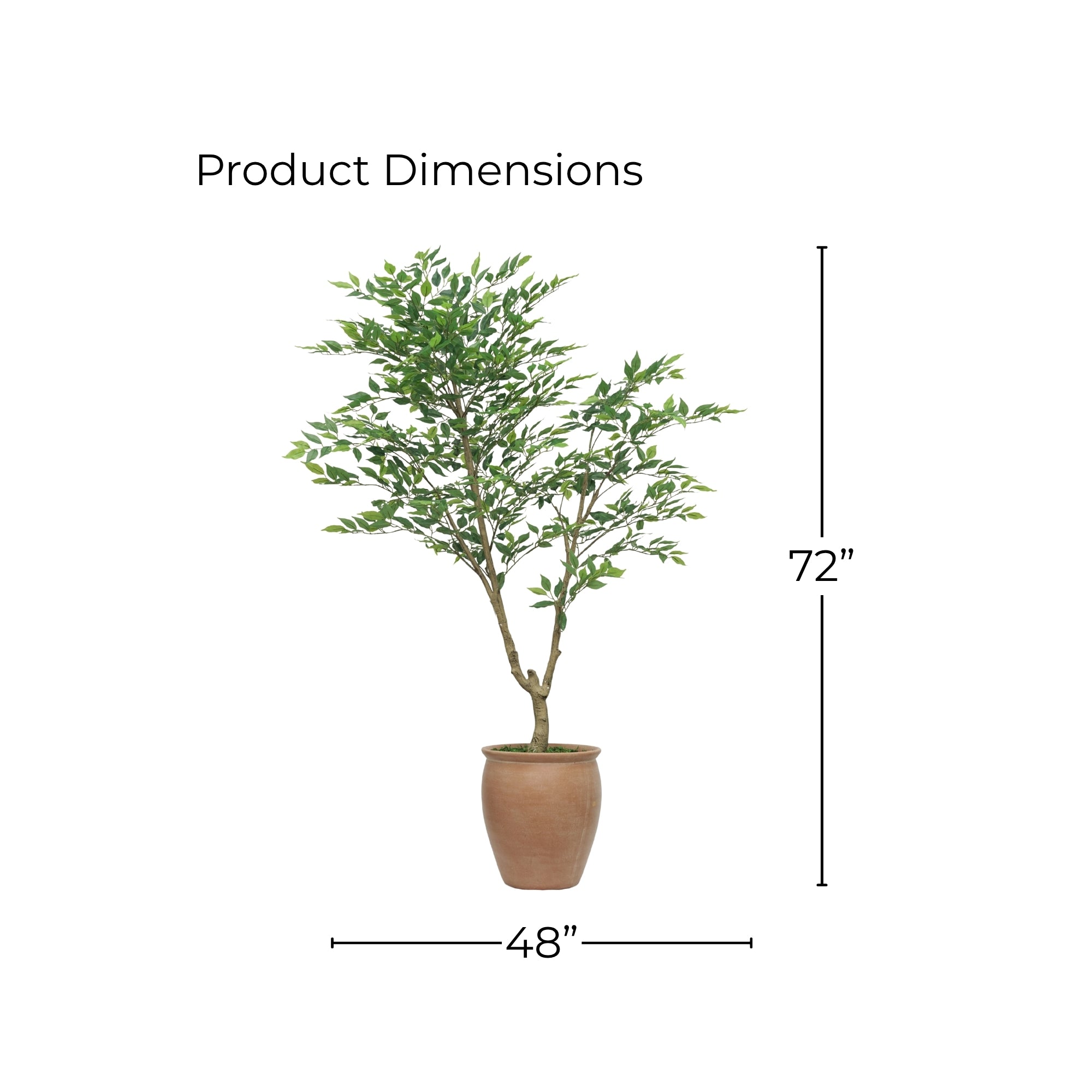 72" Ficus Tree in Matte Terracotta Ceramic