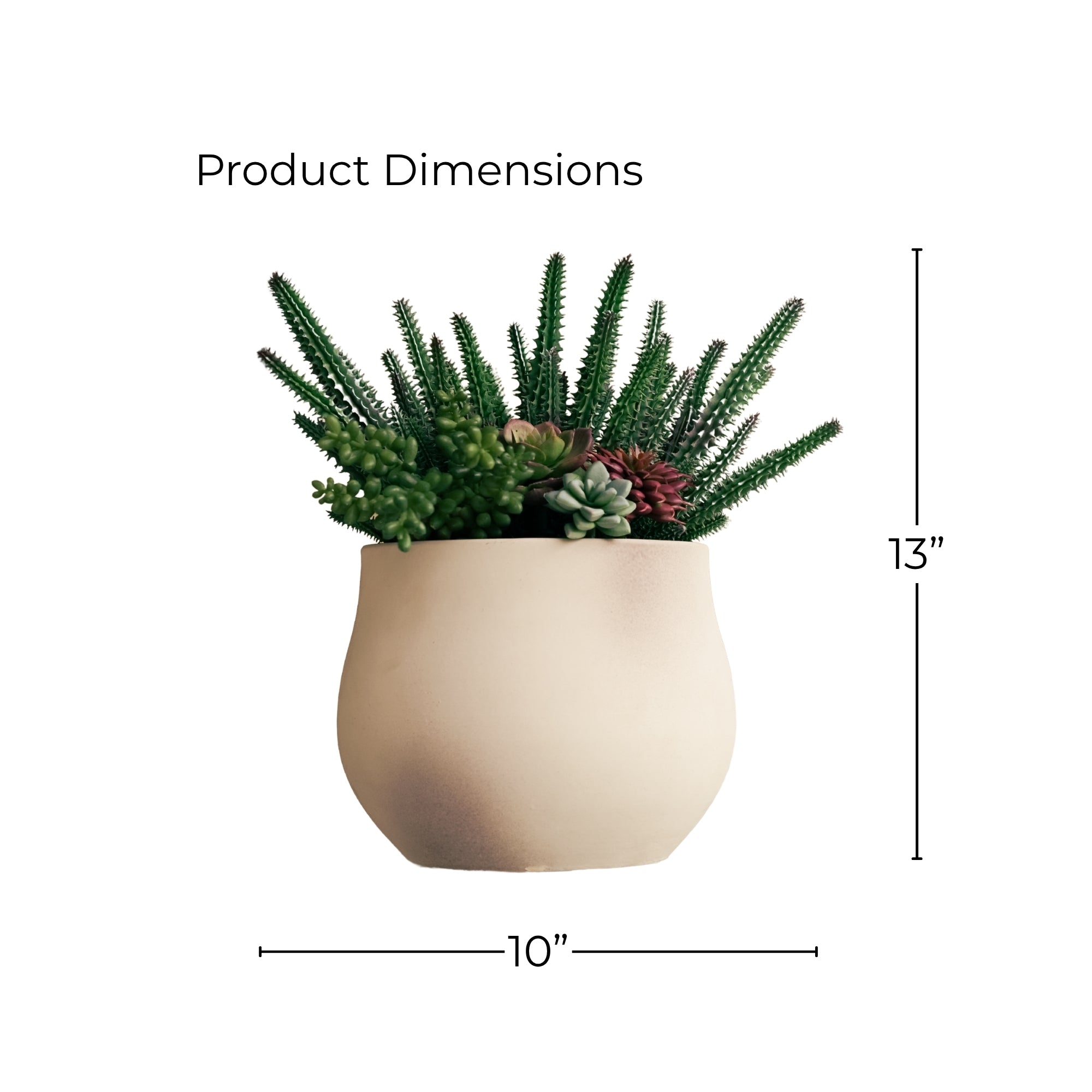 13" Green Cactus in Stone Wash White Ceramic