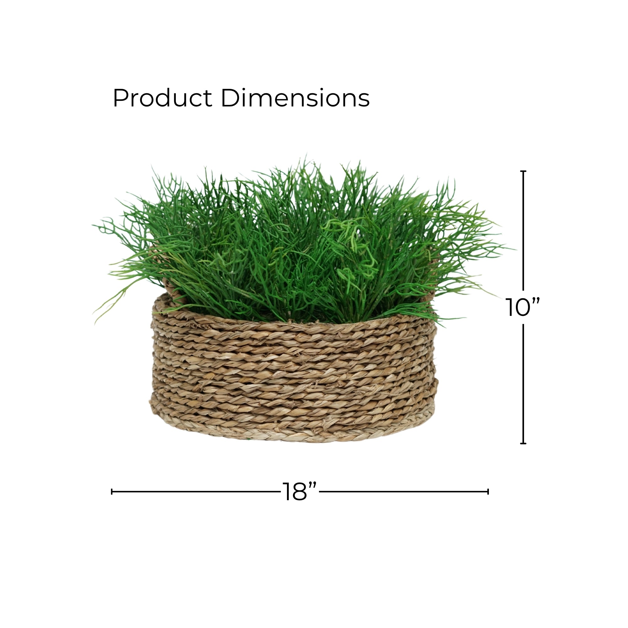 10" Seaweed in Natural Seagrass Basket