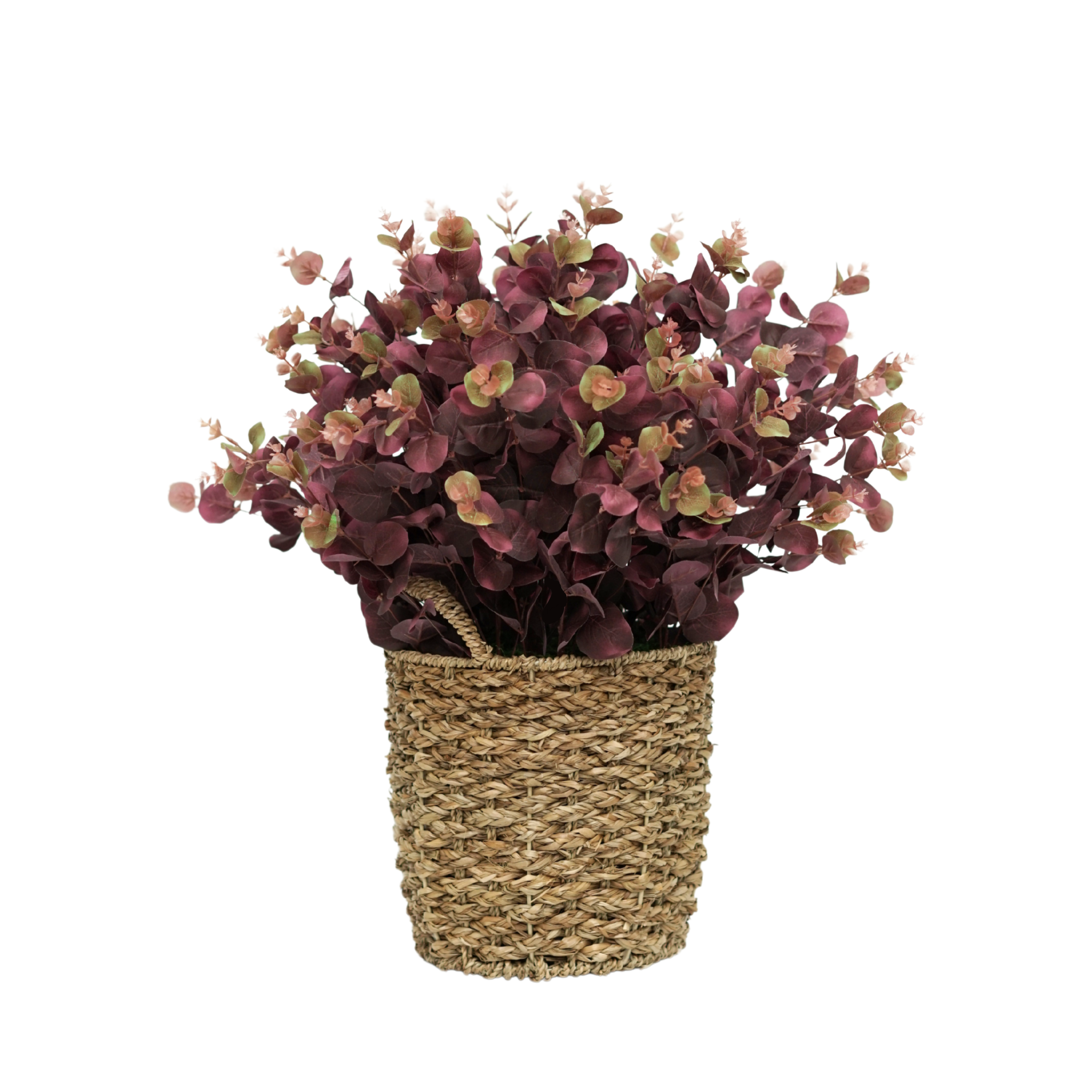 24" Eucalyptus Bush in Natural Seagrass Basket