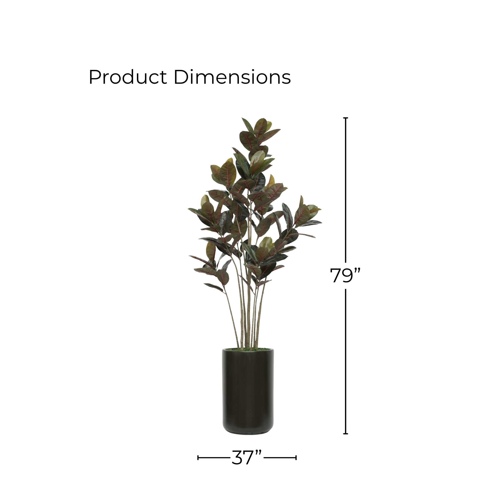 79" Rubber Tree in Matte Black Ceramic