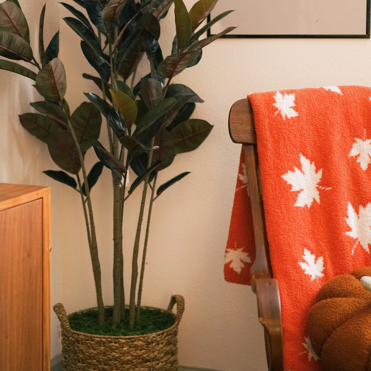 70" Rubber Tree in Natural Seagrass Basket