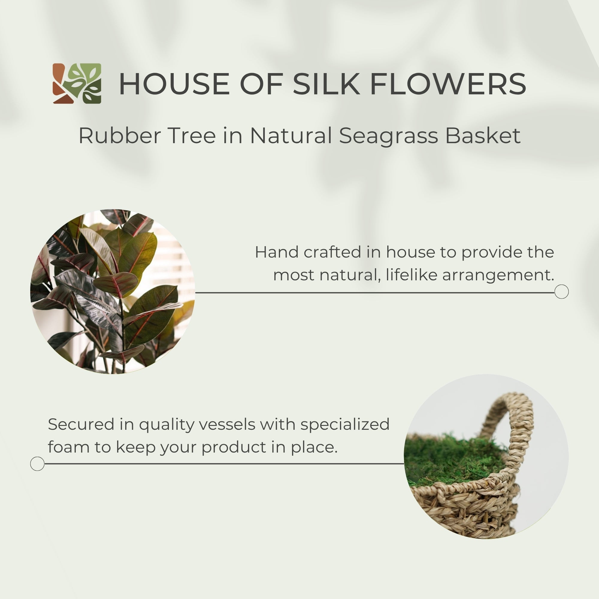 70" Rubber Tree in Natural Seagrass Basket