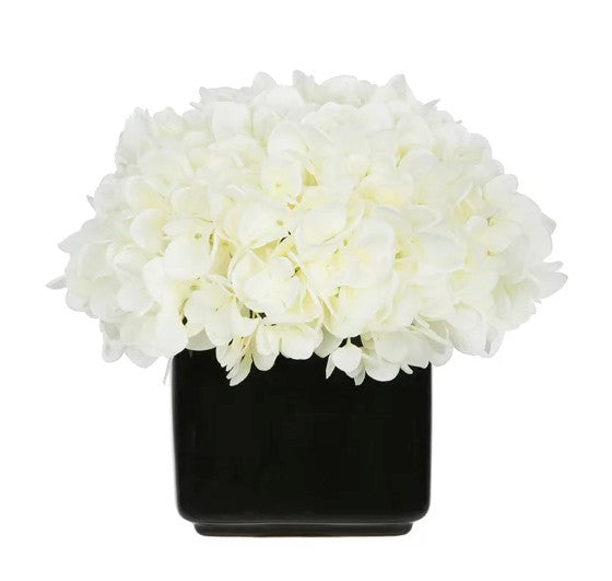 8" White Hydrangea in Glossy Black Ceramic