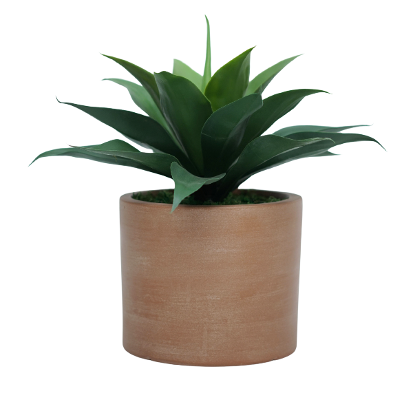 23" Agave in Matte Medium Terracotta Ceramic