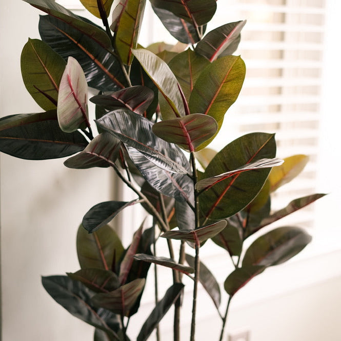 58" Rubber Tree in Cement Gray Ceramic
