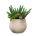 13" Green Cactus in Stone Wash White Ceramic