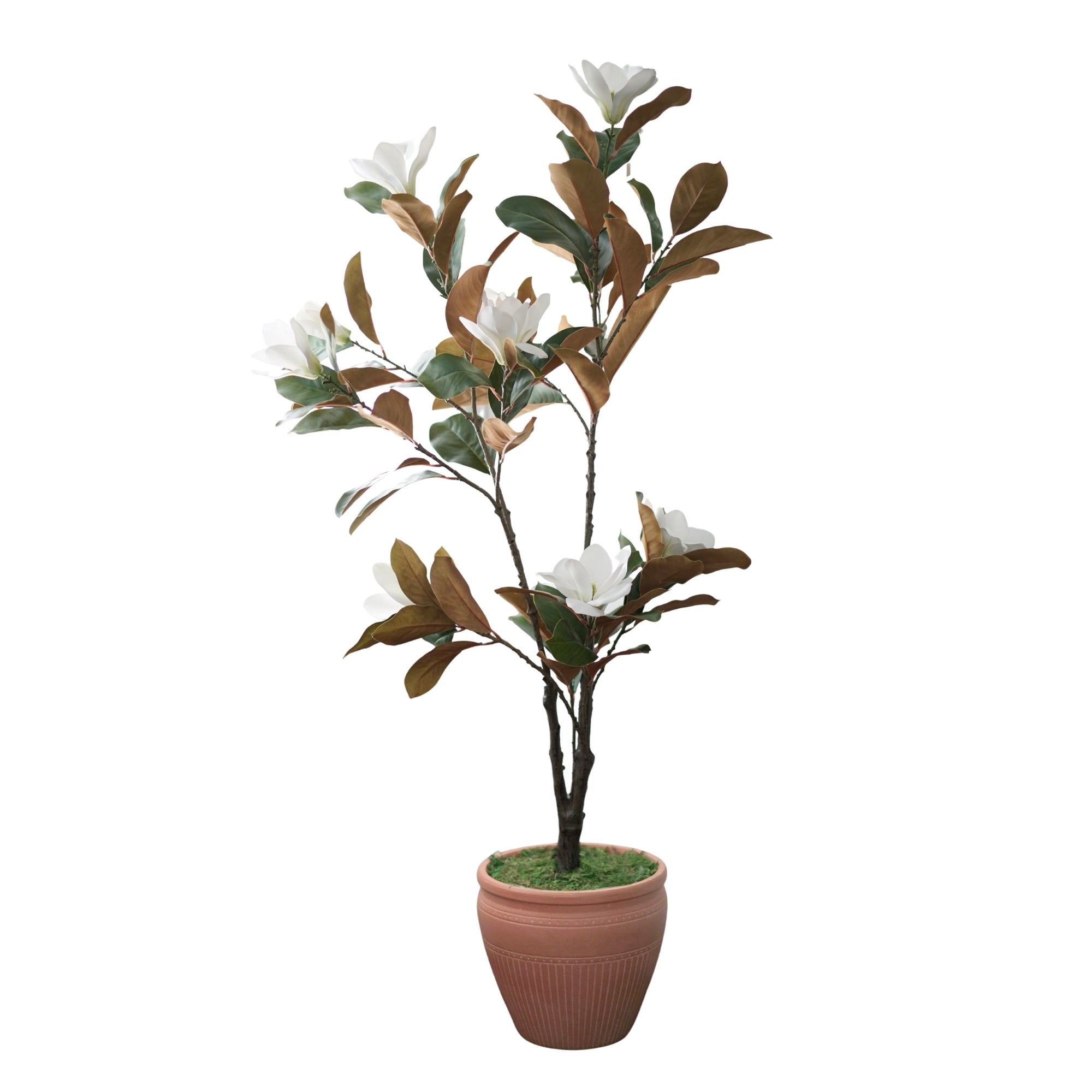 58" Magnolia Tree in Matte Medium Terracotta Ceramic
